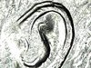 Wed Sep 18 16-18-11.jpg