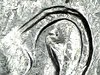 Wed Sep 18 16-29-22.jpg