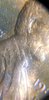 20190919_042301.jpg