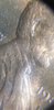 20190919_042042.jpg