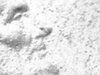 20190919_092935.jpg