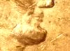 20190919_162630.jpg