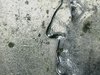 20190919_215251.jpg