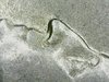 20190902_222834(1).jpg