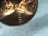 70E3638F-378A-4122-8FF0-7850EDFAE9D0.jpeg