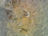 Snapshot000005.jpg
