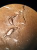 20190924_094847.jpg
