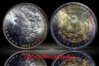 1882 O Morgan Reflection.jpg