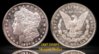 1887 DMPL Morgan Reflection.jpg