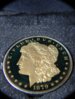 DSC06911.jpg