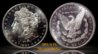 1881 S PL Morgan Reflection.jpg