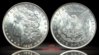 1889 Morgan Reflection copy.jpg