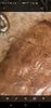 Screenshot_20190926-104546_Gallery.jpg