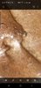 Screenshot_20190926-104513_Gallery.jpg