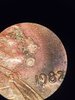 20190926_101858.jpg