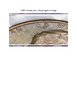 1970-s-lincoln-cent-_-the-g-in-god-is-missing.jpeg