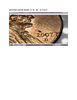 2007-D-PENNY.jpeg
