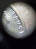 20190928_034359.jpg