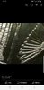 Screenshot_20190908-161936_Facebook.jpg