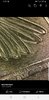 Screenshot_20190908-162100_Facebook.jpg