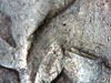 IMG_20191009_030150.png