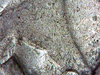 IMG_20191009_030649.png