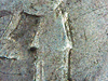 IMG_20191009_025138.png