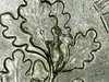 WIN_20191009_21_44_11_Pro.jpg