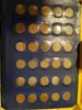 2019 10 10 Wheat Pennies (6).jpg