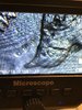 277D0E48-C142-41DF-A962-F04E78727E18.jpeg