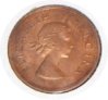 56 SA Penny O 2.jpg