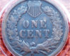 1895 Indian Head Penny- Back.jpg
