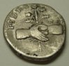 vespasian_silver-denarius_clasped-hands-caduceus-poppies-wheat_rev_03.jpg