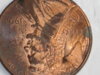 rare penny 034.JPG