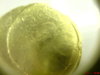 DSC00078.JPG