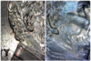 2005 collage 3.png