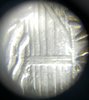 20191025_060841.jpg