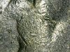 Snapshot@2019_1027_121733 - Copy.jpg