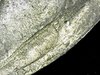Snapshot@2019_1027_121332 - Copy.jpg