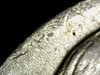 Snapshot@2019_1027_121133 - Copy.jpg