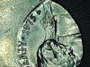 191031205206111.jpg