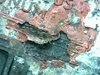 Image_2019-11-06 03_31_13_831.JPG
