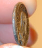 sevralx_rome825.jpg