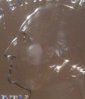 Flawed 5 oz.  Yellowstone - Obverse Closeup.jpg