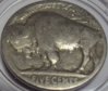 1926s-buffalo-back1.jpg
