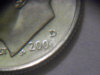 200rosieclose.jpg