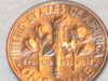 leaf3 011.JPG