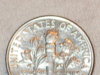 leaf3 002.JPG