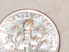 leaf3 001.JPG