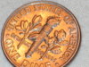 leaf3 016.JPG